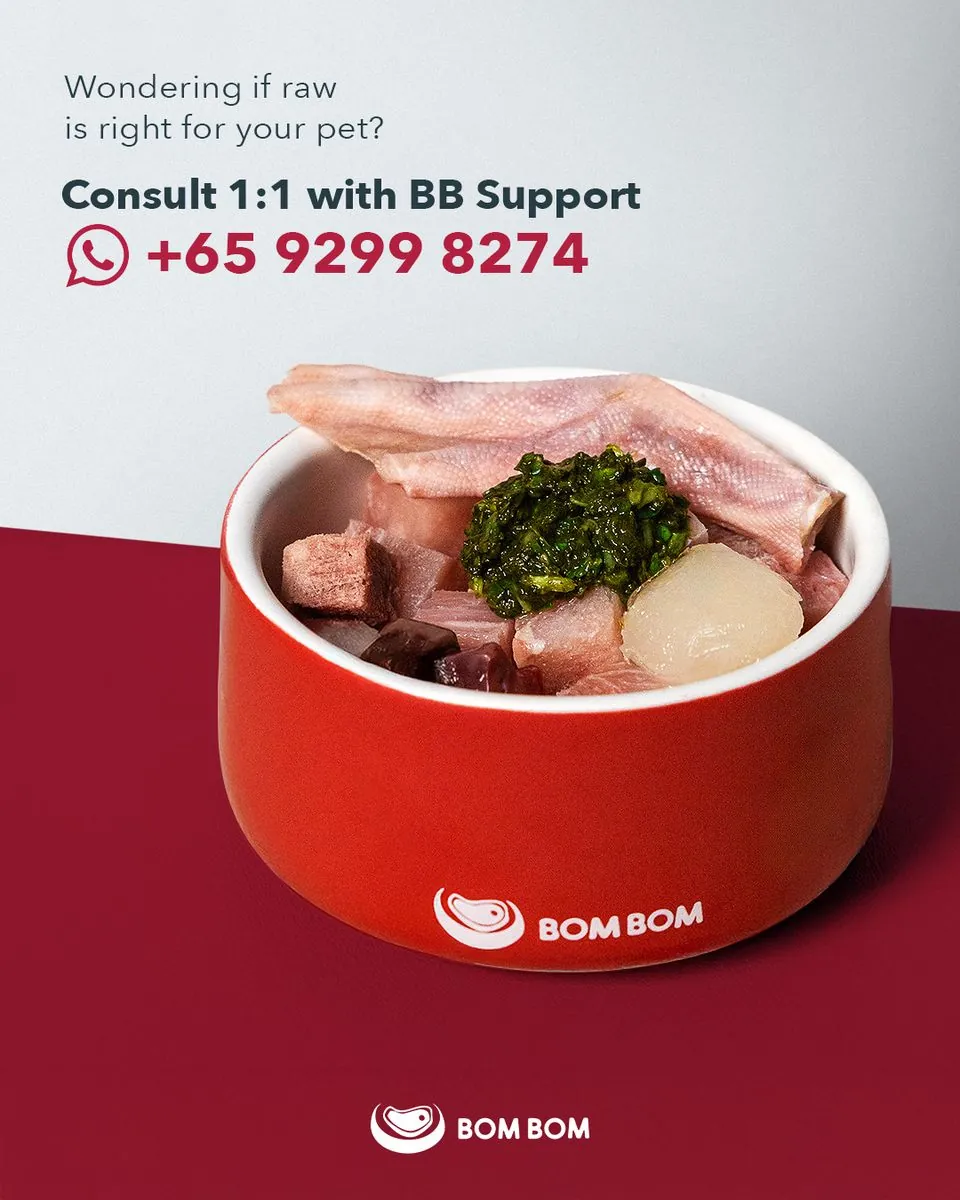 Bom Bom social campaign designed by ChessCraft Studio